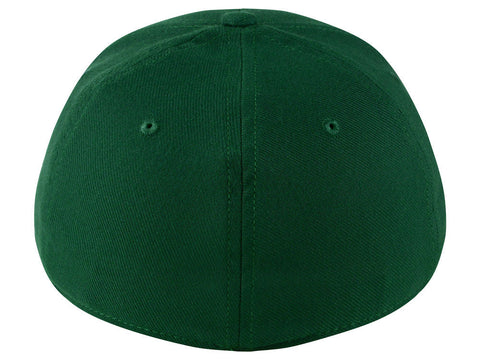 Team DF Swoosh Flex Cap - Hunter Green