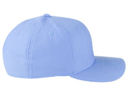 Team DF Swoosh Flex Cap - Sky Blue